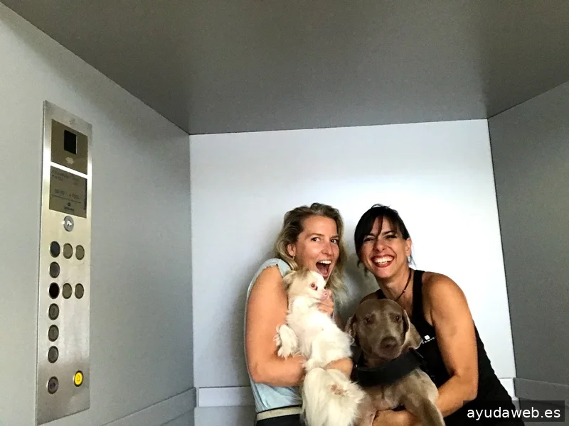 La Chica Del Ascensor