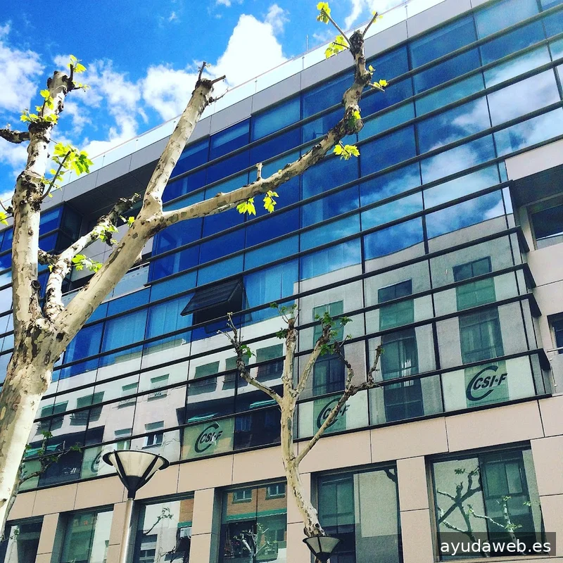 Ático, estudio gráfico