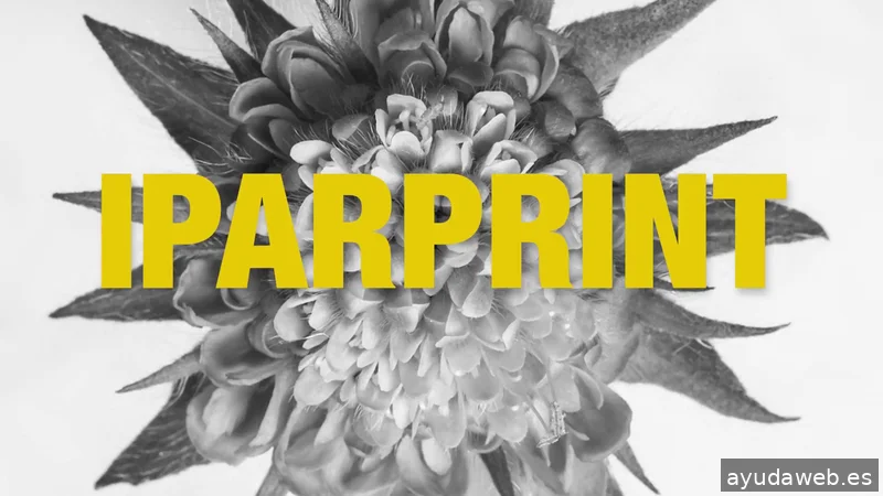 Iparprint | Agencia de marketing digital