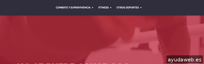 LavaWebs - Diseño Web y Posicionamiento SEO