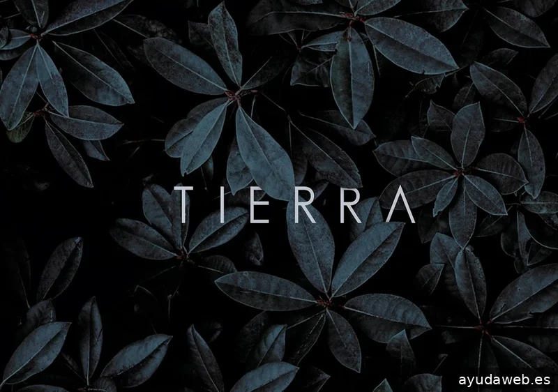 Tierra Marketing Sostenible