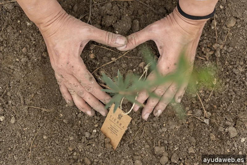 Tierra Marketing Sostenible