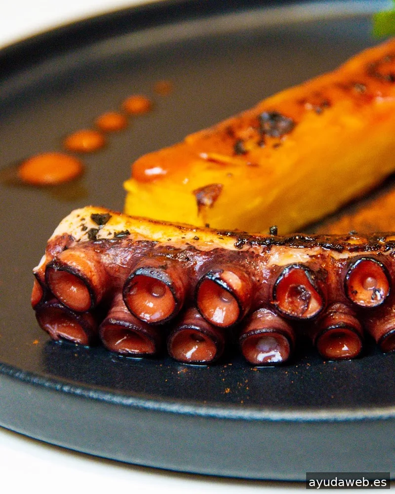 Digency | Agencia de Marketing Digital