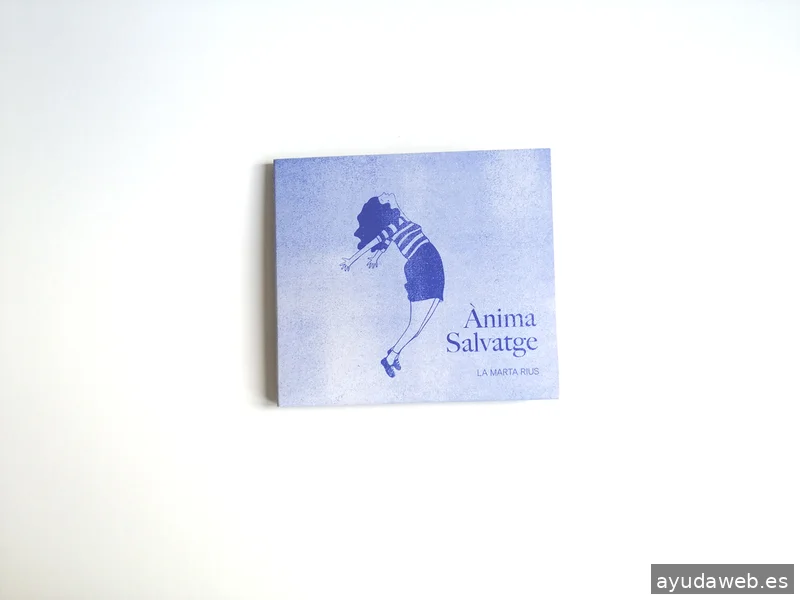 Estudi Disseny Gràfic Vis a Vis / Taller de productes d'edició limitada en serigrafia