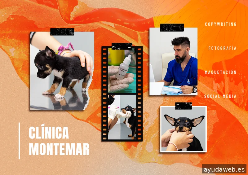 Publicidad Paula Alberola