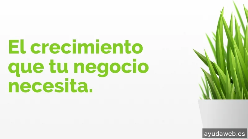 acceseo