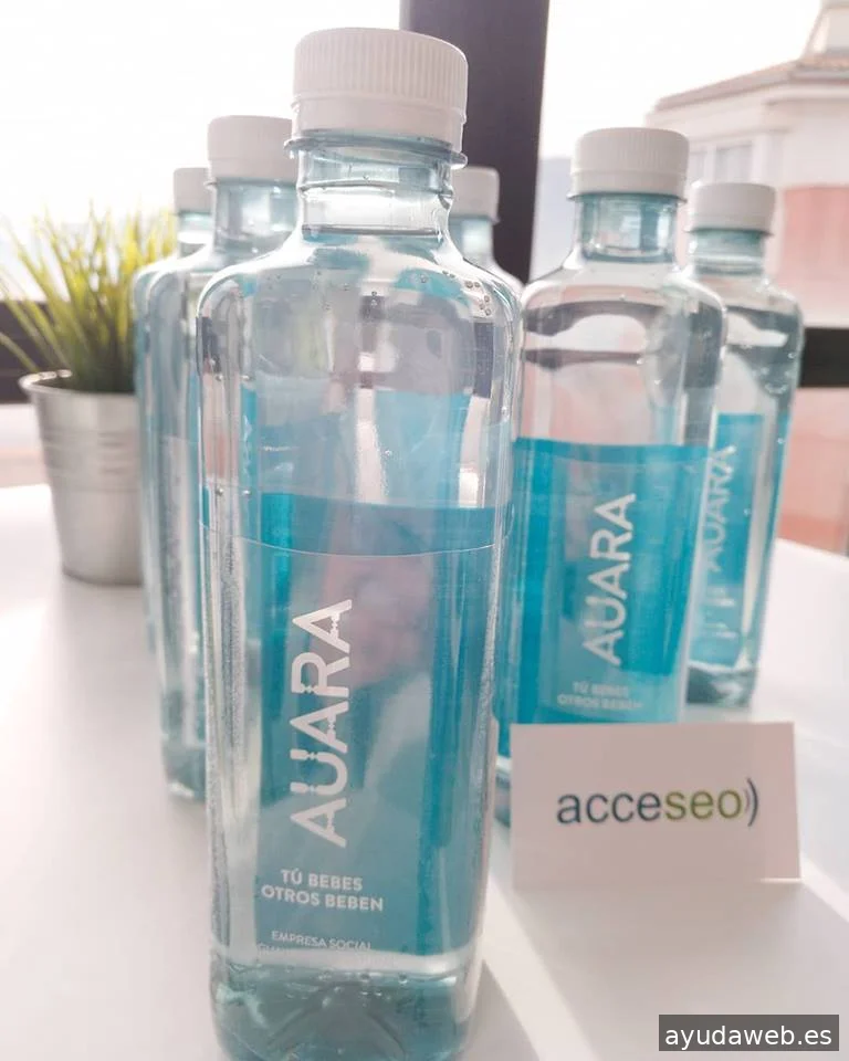 acceseo