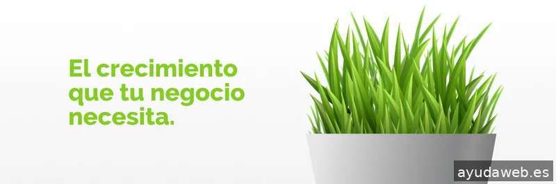 acceseo
