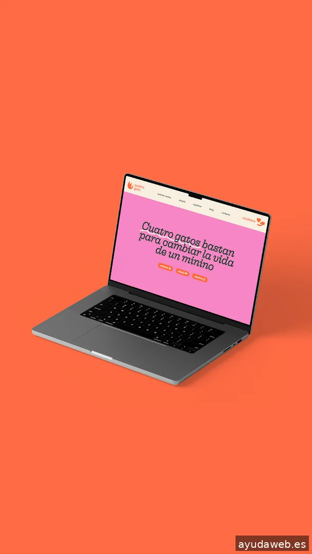 Carotta Studio | Estudio de Branding y Diseño Gráfico en Linares