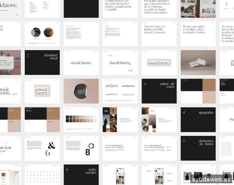 Carotta Studio | Estudio de Branding y Diseño Gráfico en Linares