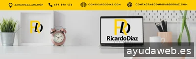 Posicionamiento web Zaragoza. Consultor SEO. RICARDO DÍAZ