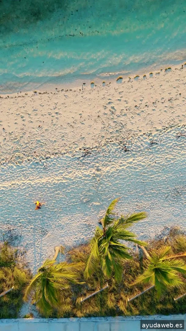 SergiSmart O2 | Informático Platja d’Aro | Reparación Móviles Ordenadores | Fibra, Móvil y TV | Windows o Mac| Movistar+