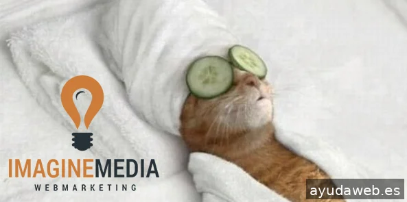 Imagine MEDIA Marketing
