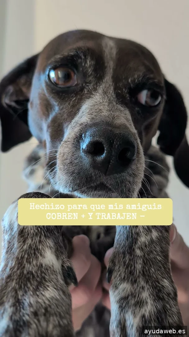 Momento Creativa - Agencia de Marketing