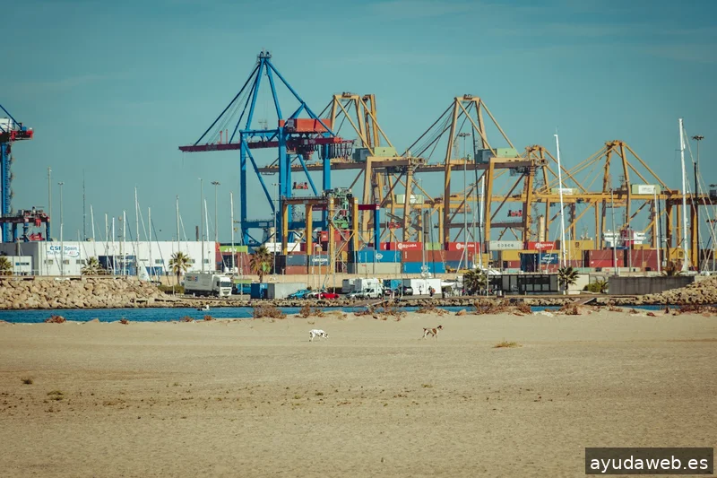 Momento Creativa - Agencia de Marketing