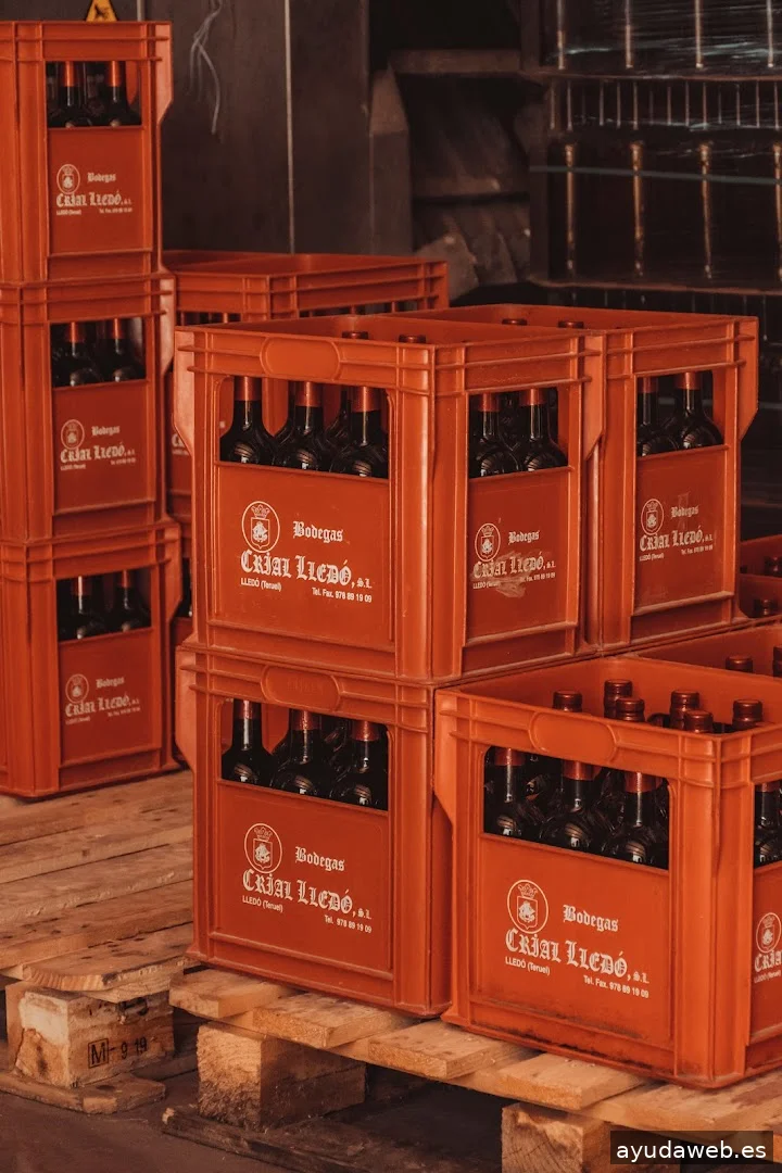 Momento Creativa - Agencia de Marketing