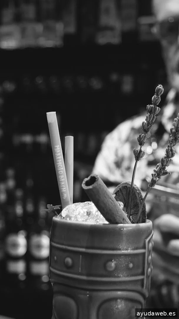 Momento Creativa - Agencia de Marketing