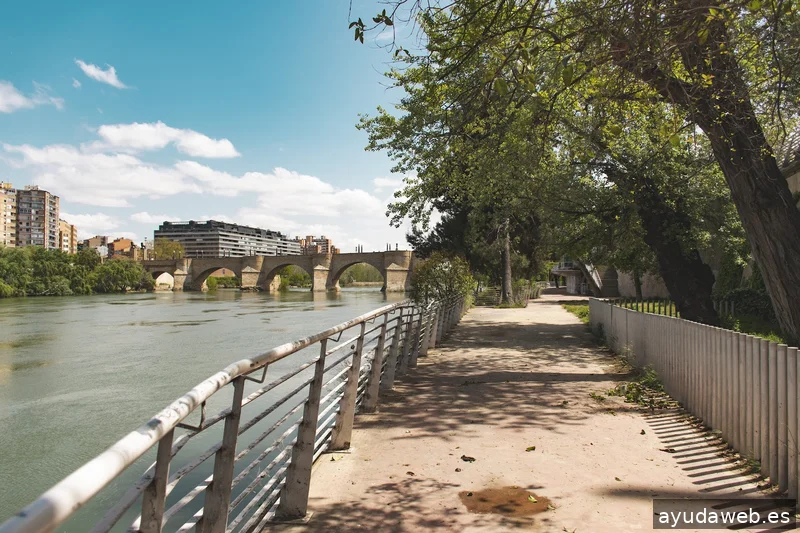 Momento Creativa - Agencia de Marketing