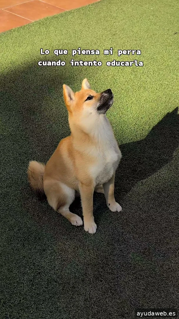 Momento Creativa - Agencia de Marketing