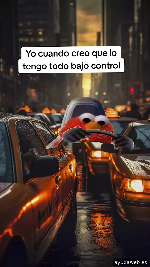 Momento Creativa - Agencia de Marketing