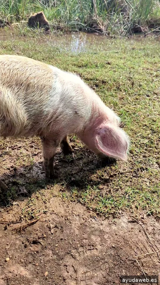 Momento Creativa - Agencia de Marketing