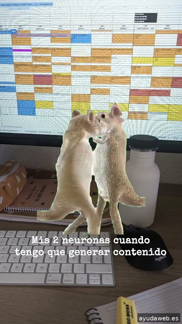 Momento Creativa - Agencia de Marketing