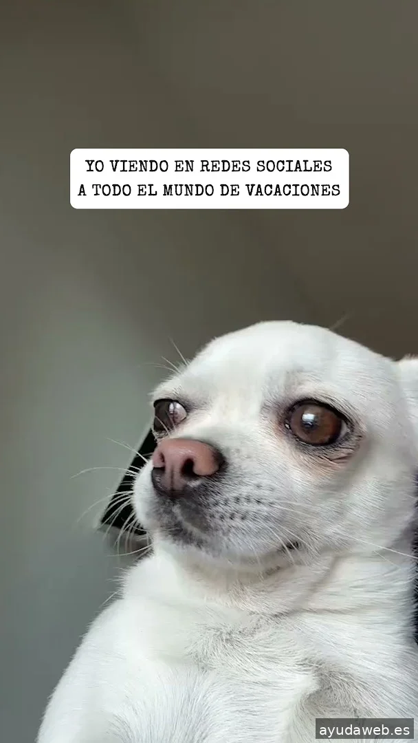 Momento Creativa - Agencia de Marketing