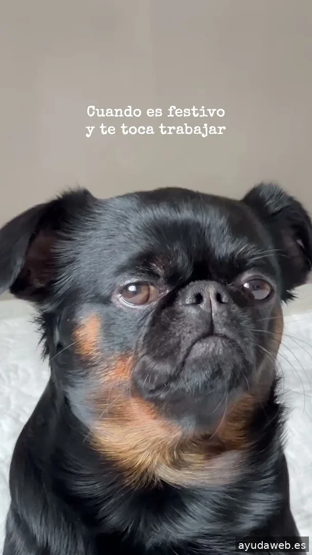 Momento Creativa - Agencia de Marketing