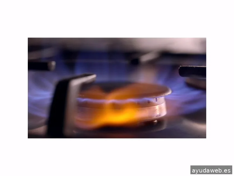 Momento Creativa - Agencia de Marketing