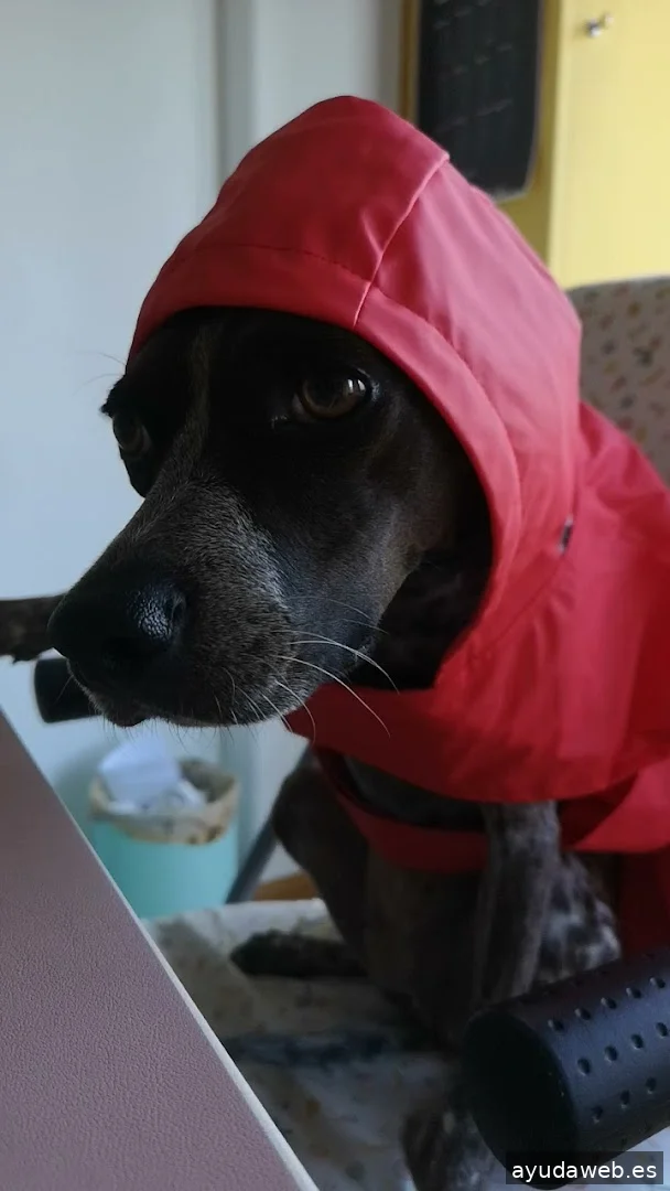 Momento Creativa - Agencia de Marketing