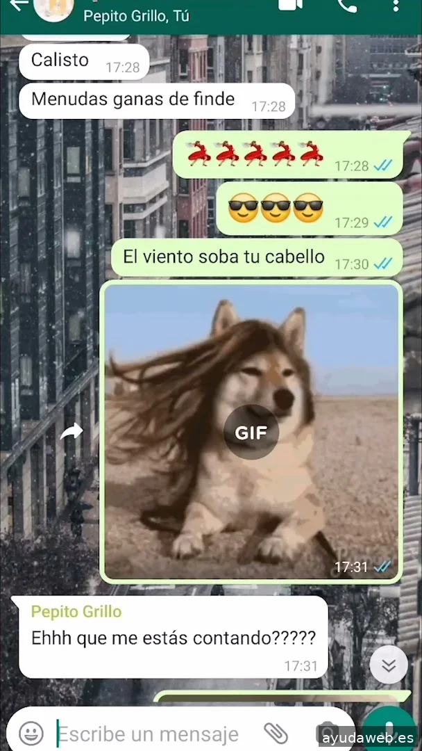 Momento Creativa - Agencia de Marketing