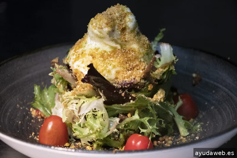 Momento Creativa - Agencia de Marketing