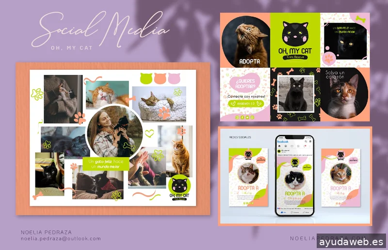 Noelia Pedraza | Estudio de diseño | Diseño web | Branding