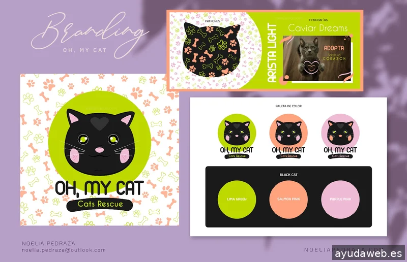 Noelia Pedraza | Estudio de diseño | Diseño web | Branding