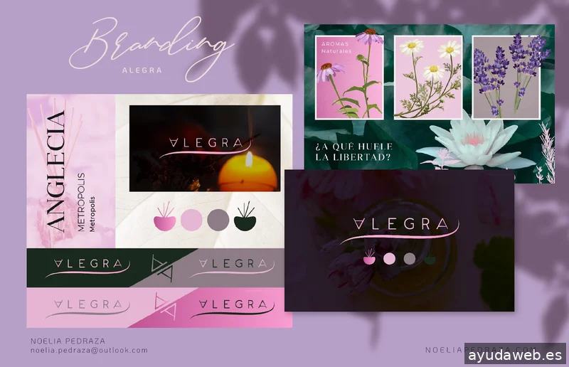 Noelia Pedraza | Estudio de diseño | Diseño web | Branding