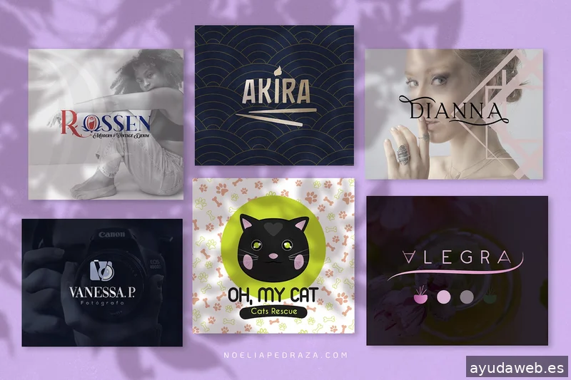 Noelia Pedraza | Estudio de diseño | Diseño web | Branding