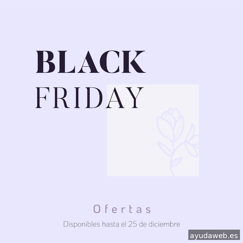 Noelia Pedraza | Estudio de diseño | Diseño web | Branding