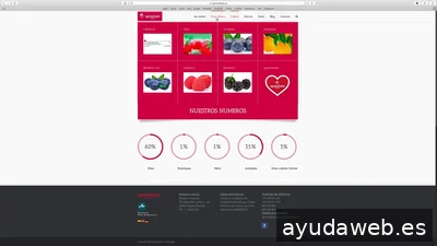 Nativa Branding, Marketing and Communication