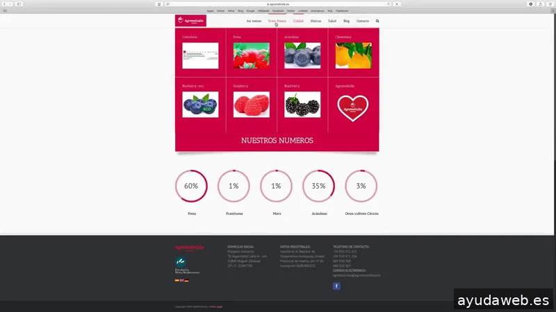 Nativa Branding, Marketing and Communication