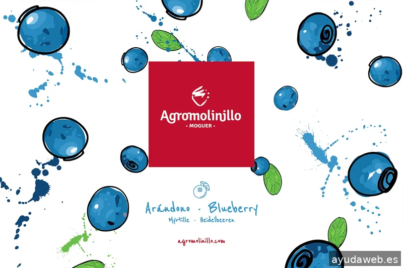 Nativa Branding, Marketing and Communication