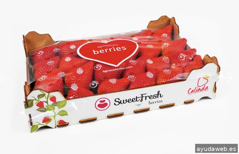 Nativa Branding, Marketing and Communication