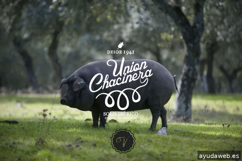 Nativa Branding, Marketing and Communication