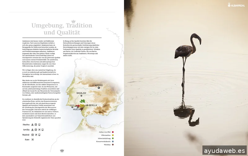 Nativa Branding, Marketing and Communication