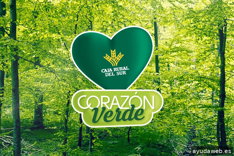 Nativa Branding, Marketing and Communication