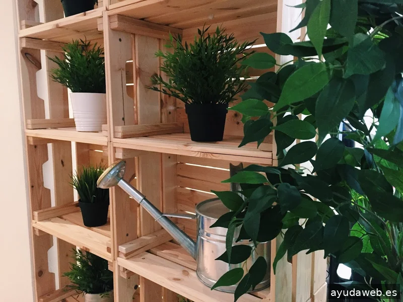 Watermelon Marketing