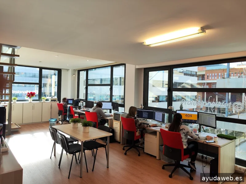 Agencia SEO Madrid | ProfesionalNet