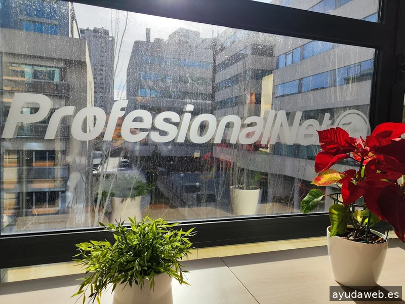 Agencia SEO Madrid | ProfesionalNet