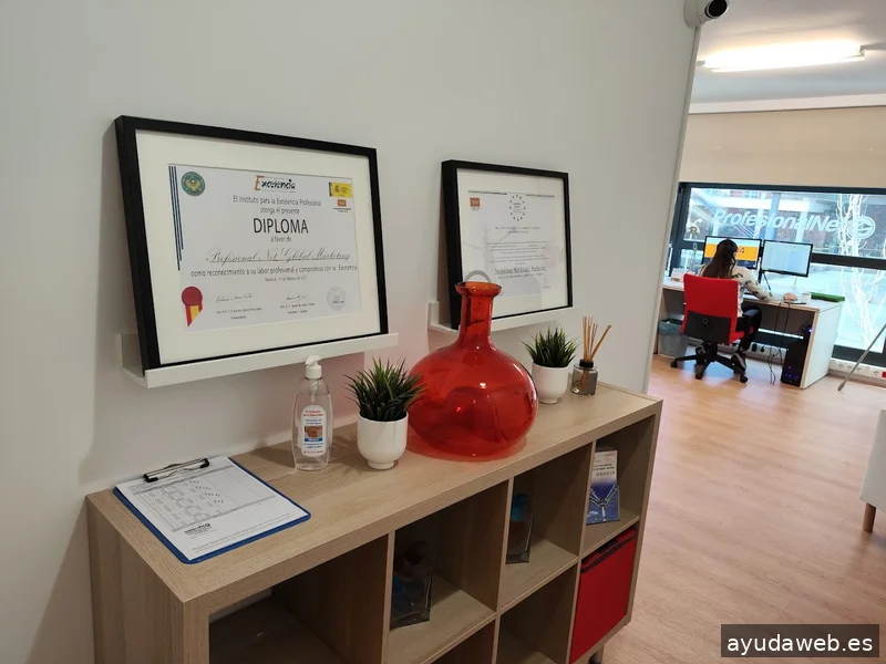 Agencia SEO Madrid | ProfesionalNet
