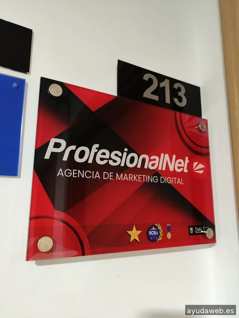 Agencia SEO Madrid | ProfesionalNet