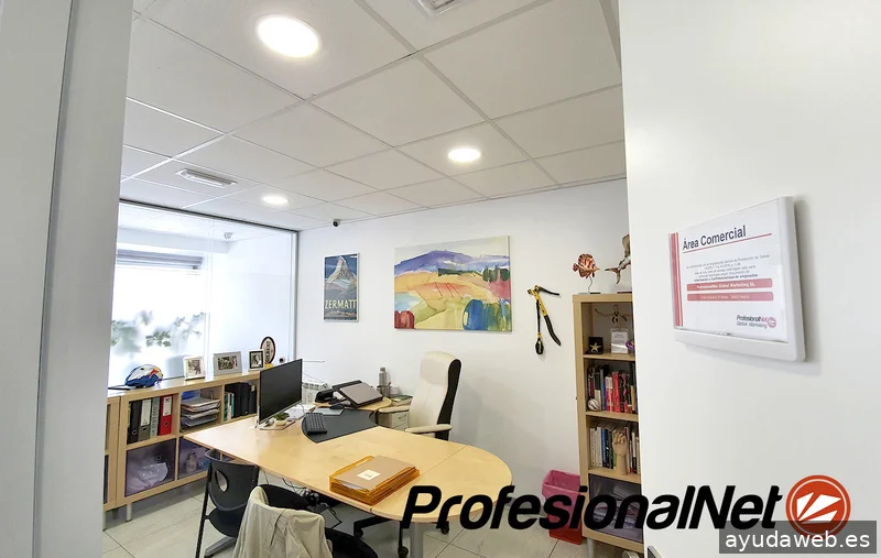 Agencia SEO Madrid | ProfesionalNet